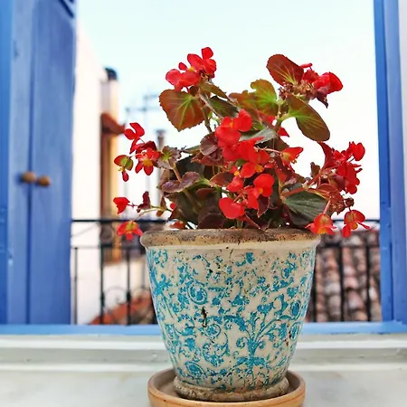 Rodia House Casa de Férias